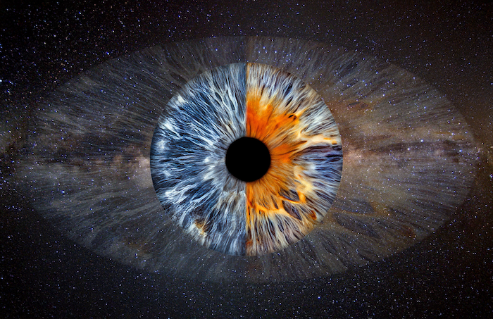 Cosmic Vision Template