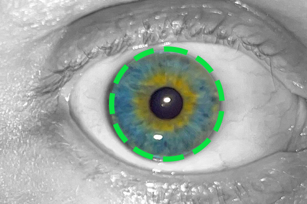 Iris Cropping