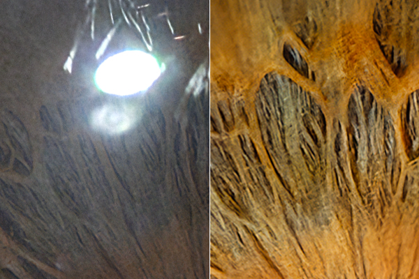 Reflection Removal